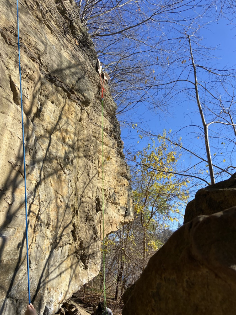 A tall cliff face with rugs seen at the top of the cliff. 